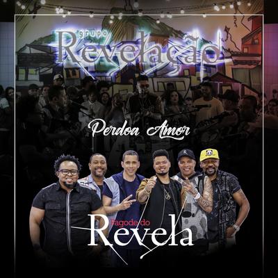 Perdoa Amor (Ao Vivo) By Grupo Revelação's cover