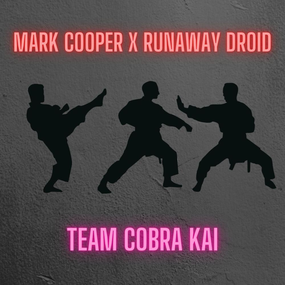 Cobra Kai  Sports team