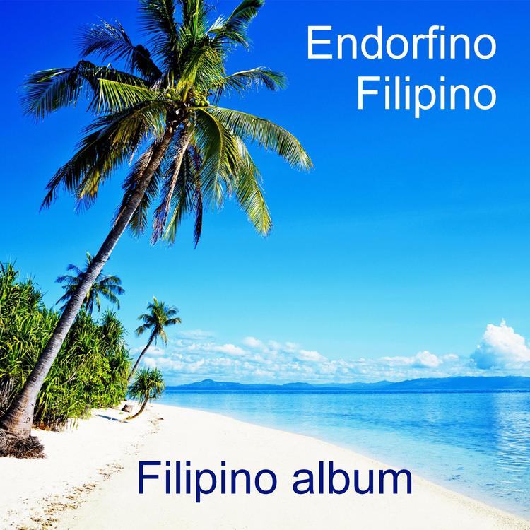 Endorfino Filipino's avatar image