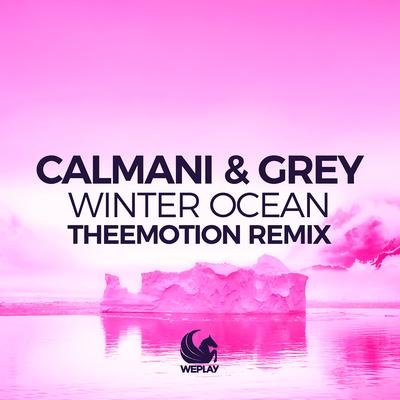 Winter Ocean (Theemotion Remix) By Calmani & Grey's cover