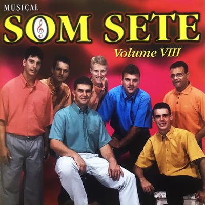 Por Isso Choro By Musical Som Sete, Sônia Areco's cover