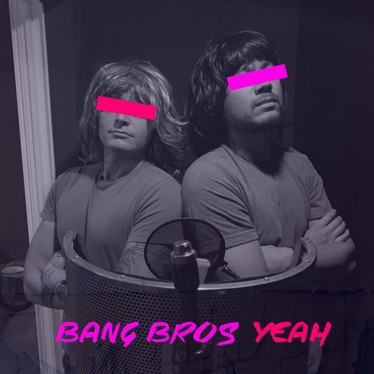 Bang Bros's avatar image