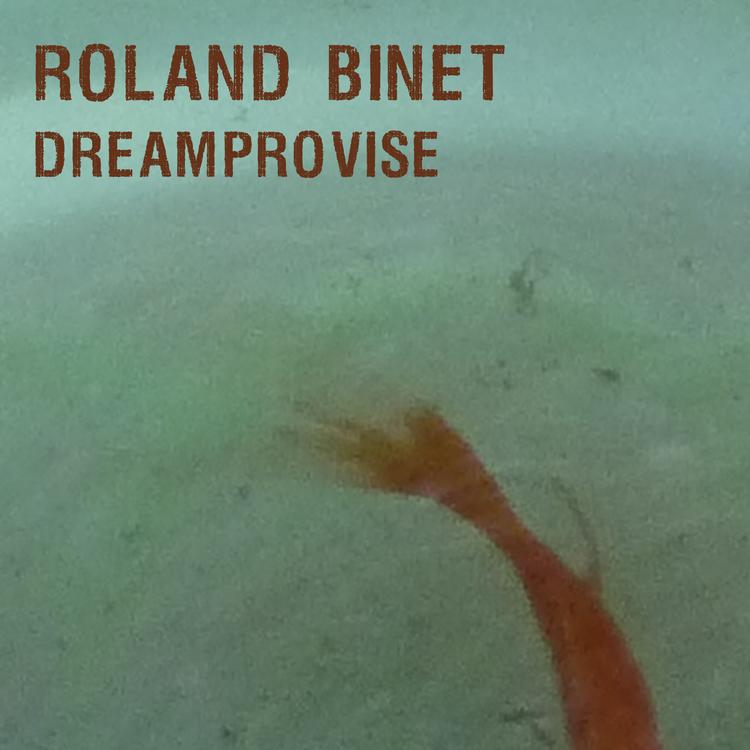 Roland Binet's avatar image