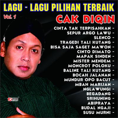 Cak Diqin's cover