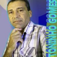 Toninho Gomes's avatar cover