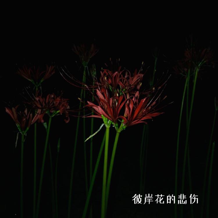 吴欣祎's avatar image