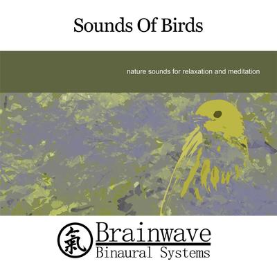 Sounds of Birds By Brainwave Binaural Systems's cover
