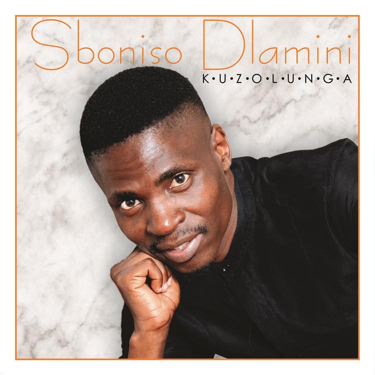 Sboniso Dlamini's avatar image