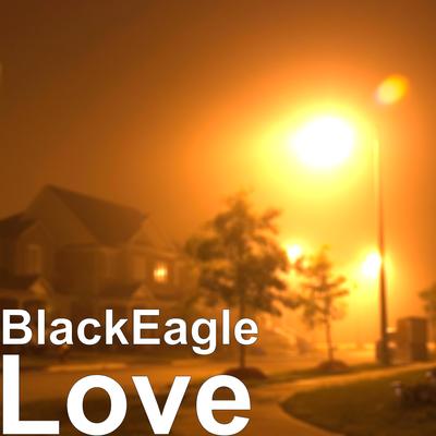 BlackEagle's cover