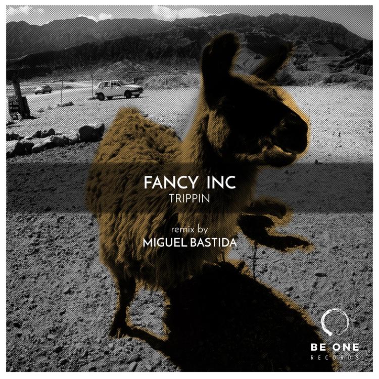 Fancy Inc's avatar image