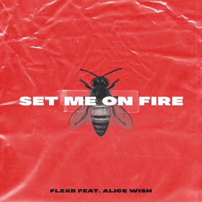 Set Me on Fire By FlexB, Alice Wish's cover
