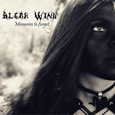 Nightmares By Bleak Wind's cover