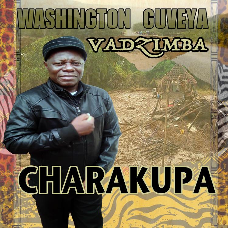 Washington Guveya Vadzimba's avatar image