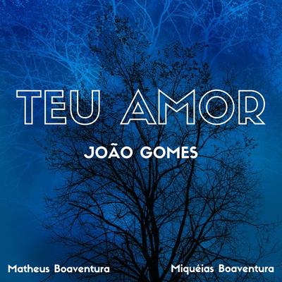 Teu Amor By João Gomes's cover