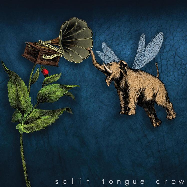 Split Tongue Crow's avatar image