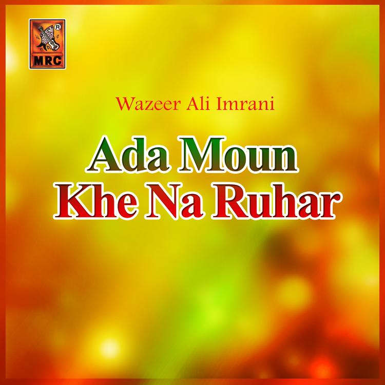 Wazeer Ali Imrani's avatar image