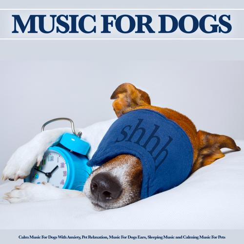 Soothing music for sales dogs with anxiety