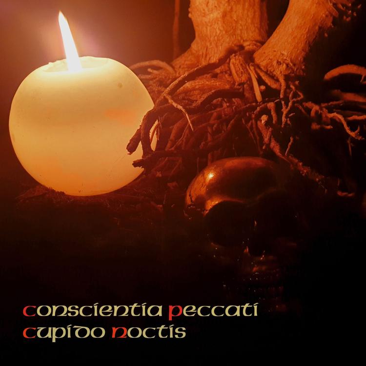 Conscientia Peccati's avatar image