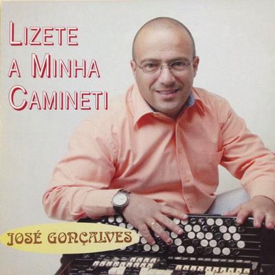 Teus Olhos Verdes By José Gonçalves's cover