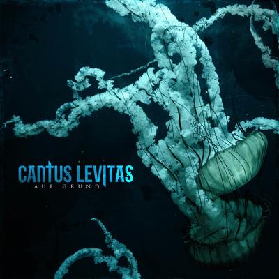 Narben By Cantus Levitas's cover