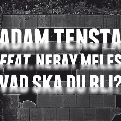 Vad ska du bli? (feat. Nebay Meles)'s cover