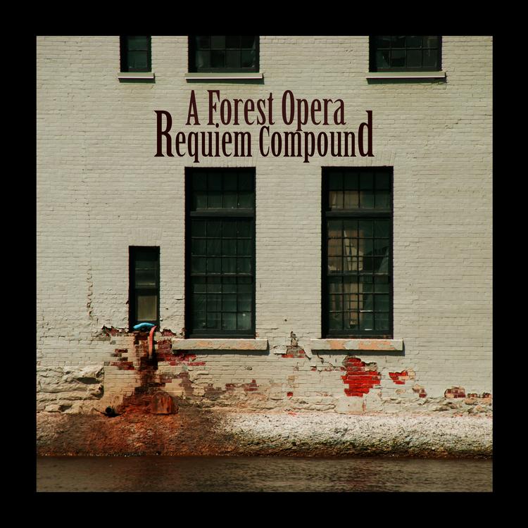 A Forest Opera's avatar image