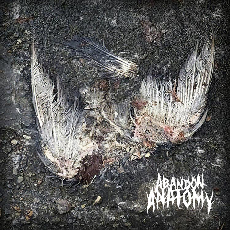 Abandon Anatomy's avatar image