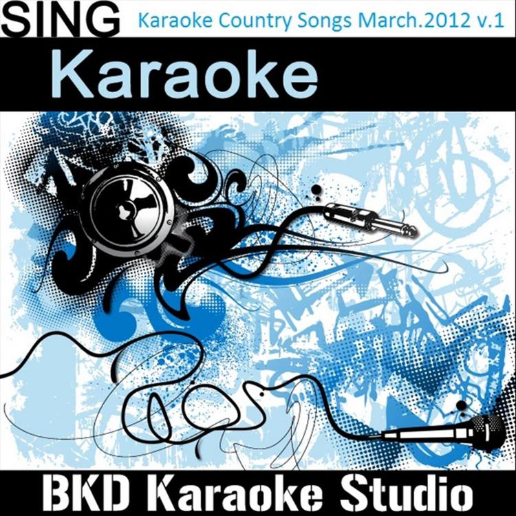 Bkd Karaoke Studio's avatar image