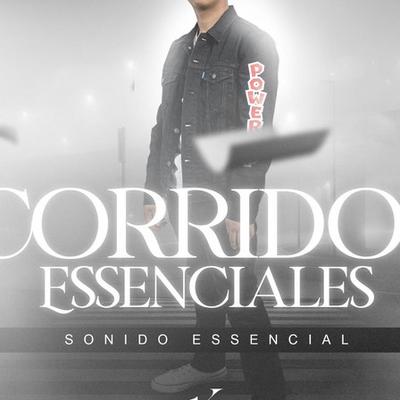 Sonido Essencial's cover