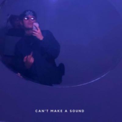 can't make a sound By Keepitinside, Masked Man's cover