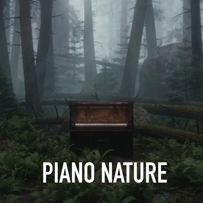 Piano Relief Music's cover