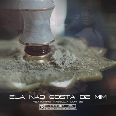 Ela Não Gosta de Mim By Passoca com 2s, Duzz's cover