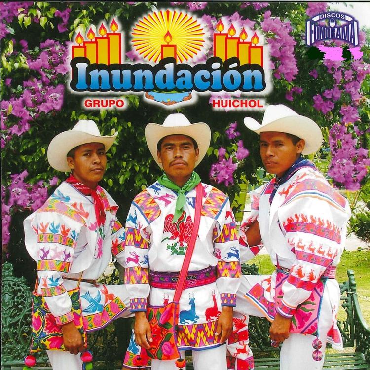 Grupo Huichol's avatar image