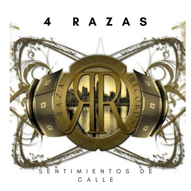 4 Razas's avatar image