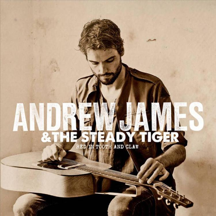 Andrew James & The Steady Tiger's avatar image