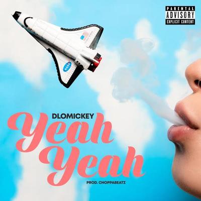 Yeah Yeah's cover