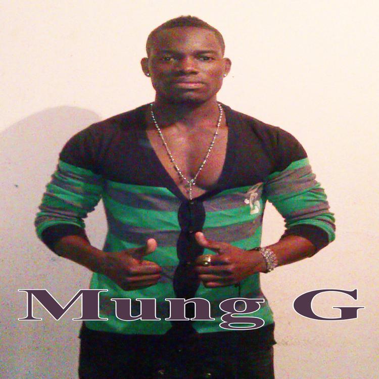 Mung G's avatar image