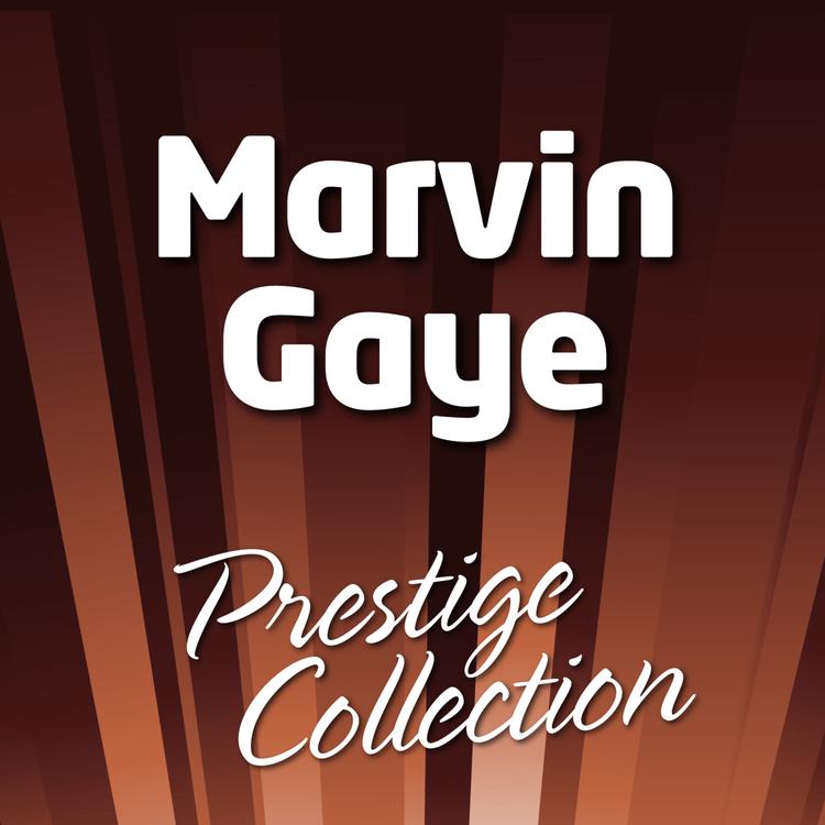 Prestige Collection's avatar image