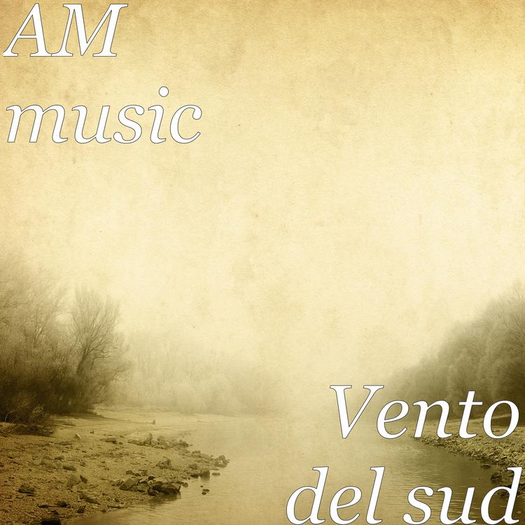 AM music's avatar image