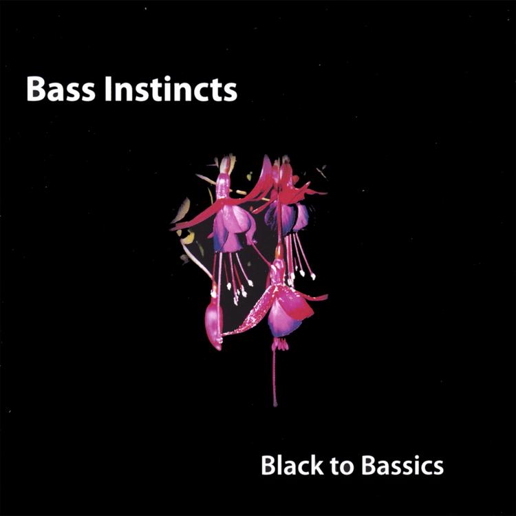 Bass Instincts's avatar image