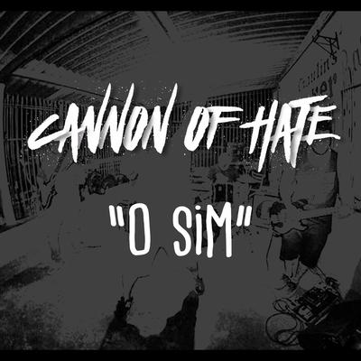 O Sim's cover