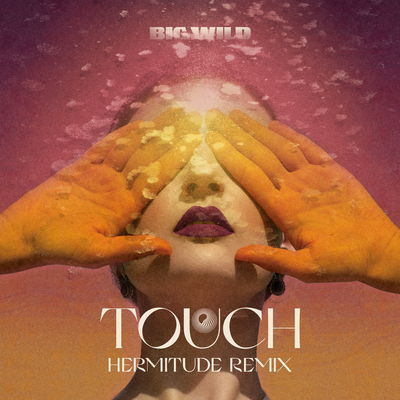 Touch (Hermitude Remix)'s cover