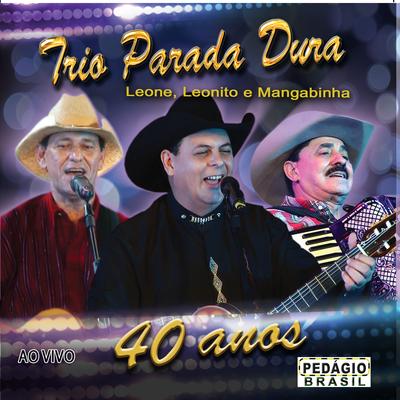 Trovão Azul (Ao Vivo) By Trio Parada Dura's cover