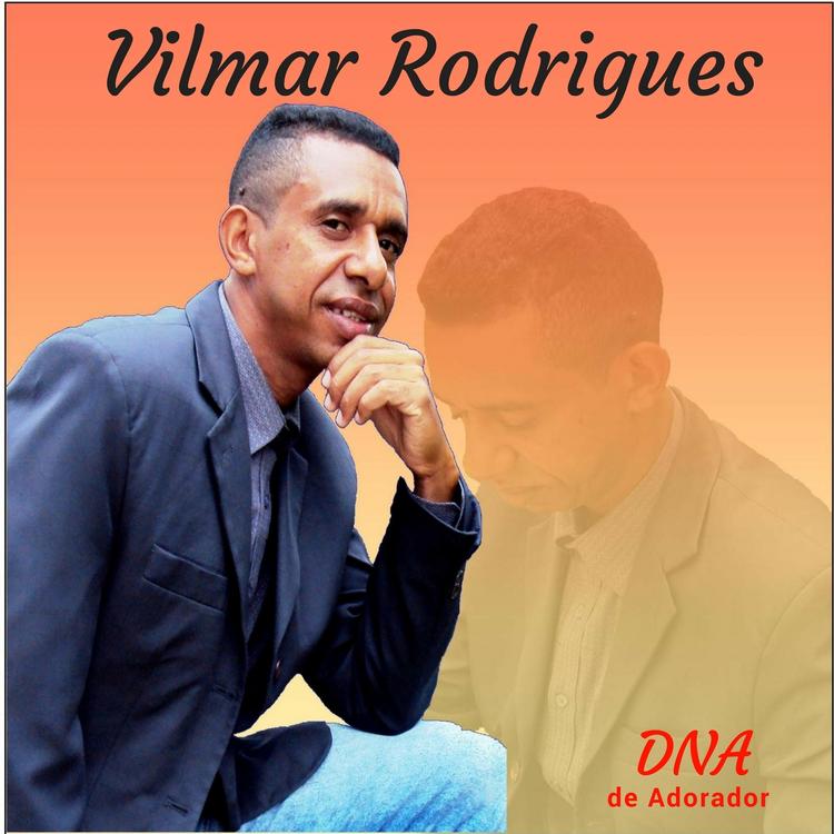 Vilmar Rodrigues's avatar image