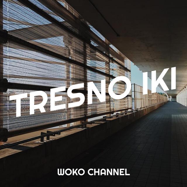 Woko Channel's avatar image