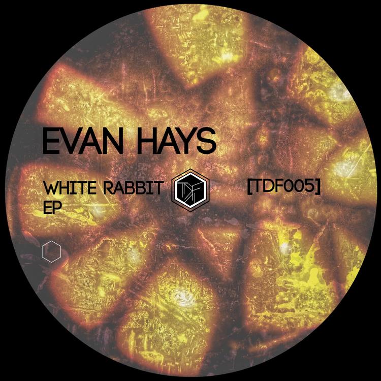 Evan Hays's avatar image