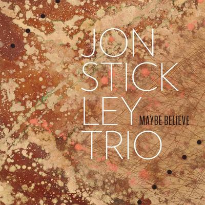 The Price of Being Nice By Jon Stickley Trio's cover