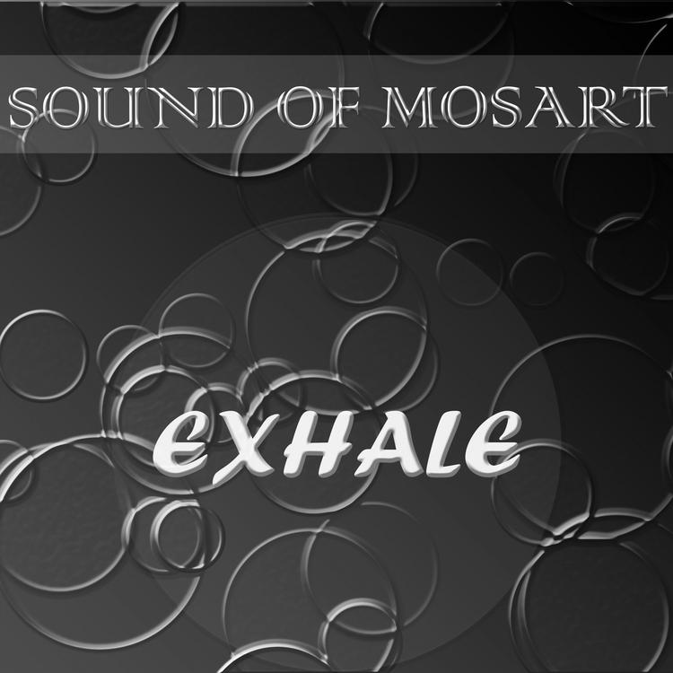 SoundofMosArt's avatar image