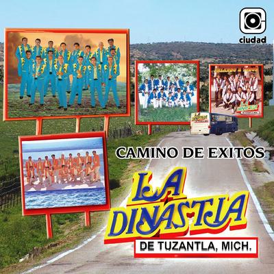 Camino de Éxitos's cover