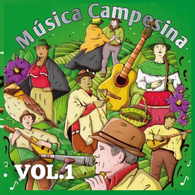 Música Campesina's avatar image